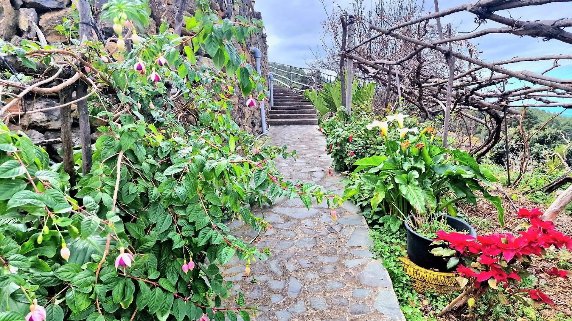 Casa Canaria Drago In Icod De Los Vinos By Hrtenerife Net 0*,